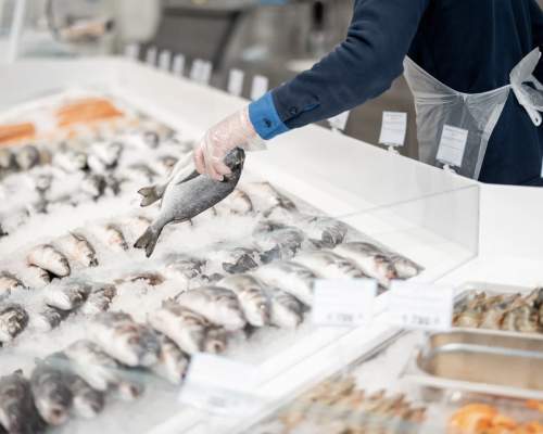 Seafood in Devon: Where to Taste the Freshest Catch