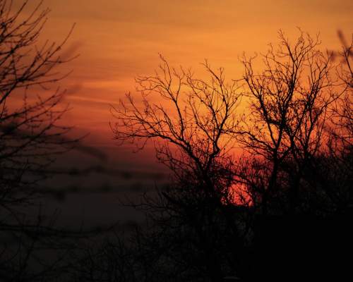Where to See the Best Autumn Sunsets in Devon