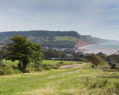 A Bird Watcher’s Guide to the Sid Valley in Autumn