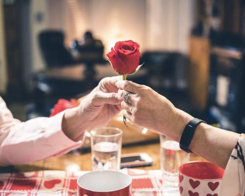 Valentines Day in North Devon