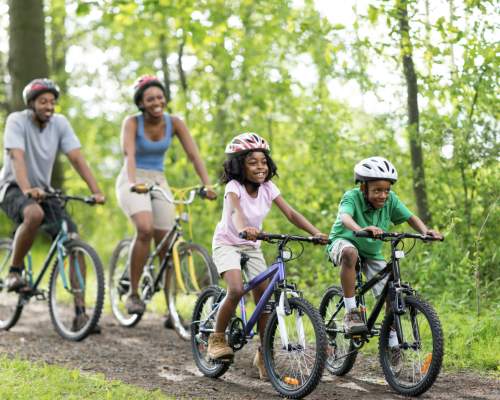 May Half Term Adventures in Devon 2026