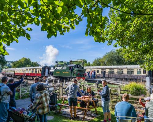 South Devon Railway on a busy sunny day