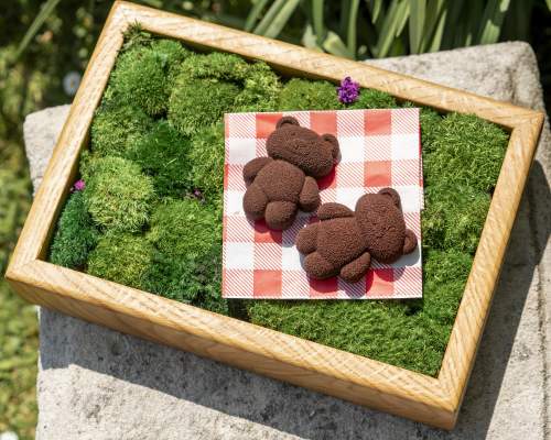 Boringdon Hall Launches Whimsical 'Teddy Bear Afternoon Tea' for Summer