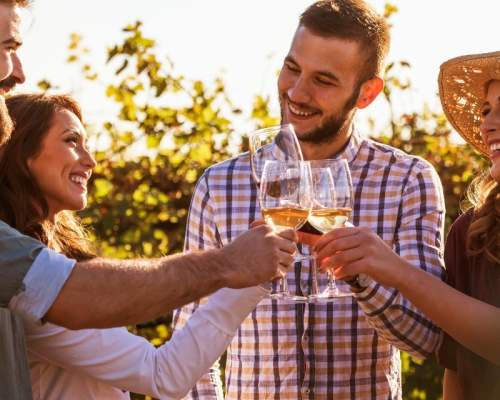 Food Tours, Vineyards & Breweries in Sidmouth