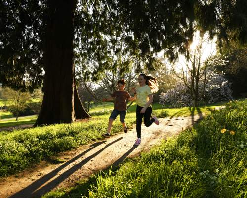 Visitors in the garden in spring at Killerton Devon,