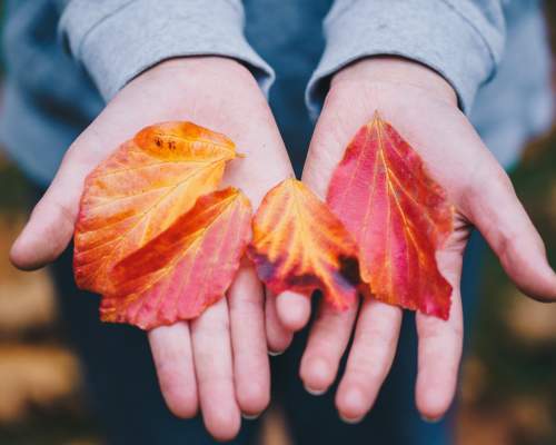 Visit Sidmouth this Autumn