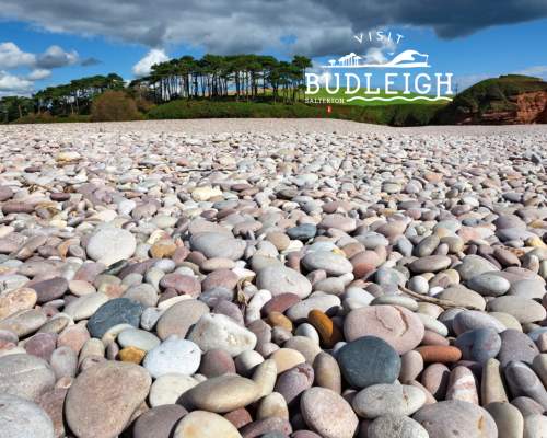 budleigh's pebbles with otter estuary in the background