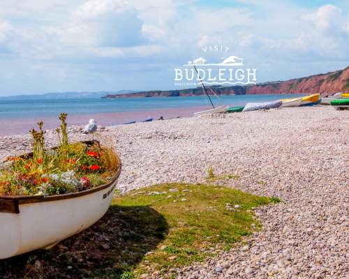 view of budleigh beach with boat used as planter for floral display