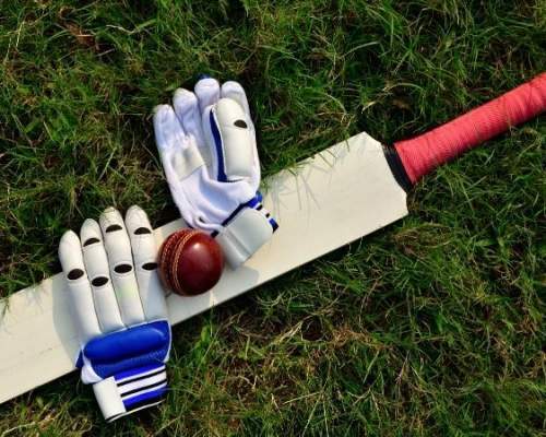 cricket bat and ball