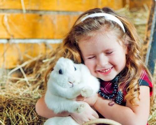 little girl cuddling a white rabbit