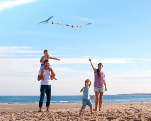 Family, beach, kite