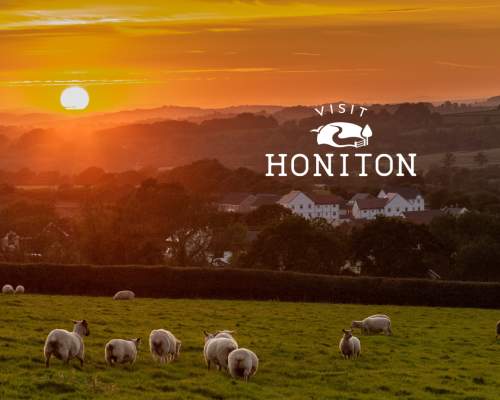 sunset over honiton and field of grazing sheep
