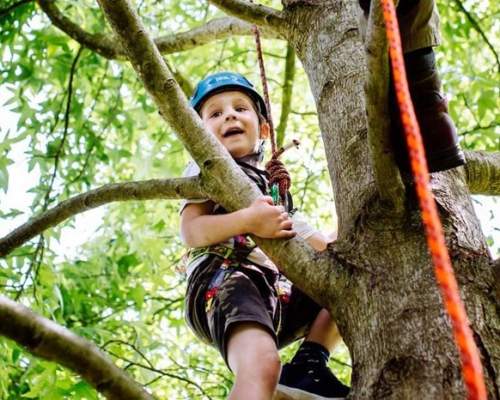 A summer of tree-mendous, hands-on forest fun awaits at RHS Rosemoor these school holidays
