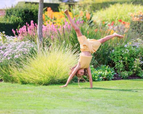 RHS Rosemoor