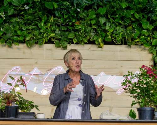 RHS Rosemoor to host gardening and floristry celebrities in revamped live programme for annual Flower Show