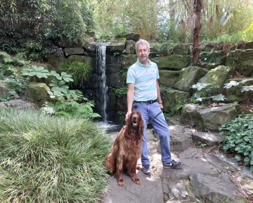 A shady dog walking route and increased access to water and refreshments offered to summer dog walkers at RHS Garden Rosemoor.