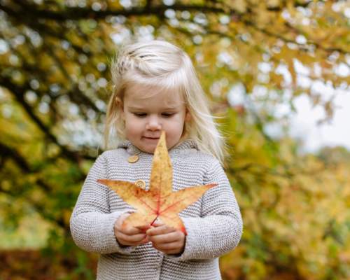 Have a wicked half term at RHS Garden Rosemoor, with Halloween-inspired activities for your little monsters