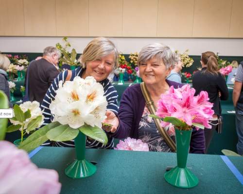 Two ladies admiring white and pink flowers