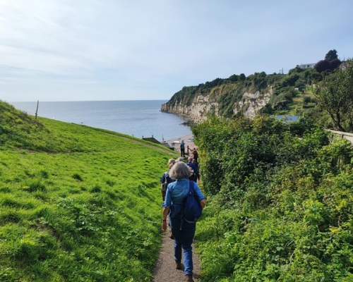 A group of hikers walks down a path through lush greenery toward a serene coastal view with cliffs, under a clear blue sky, evoking a sense of tranquillity.