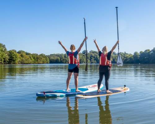 Discover the River Dart at Totnes