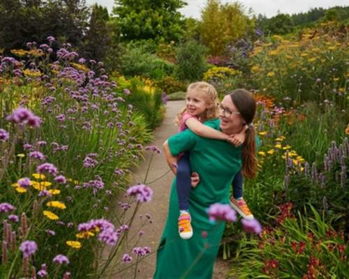 What’s on this summer in Devon