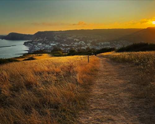 A sunset view over an East Devon coastal town, with a golden grassy path in the foreground where a few people are walking. The coastline curves towards the sea on the left, and white buildings sit nestled below gently rising hills, all glowing in warm orange evening light.