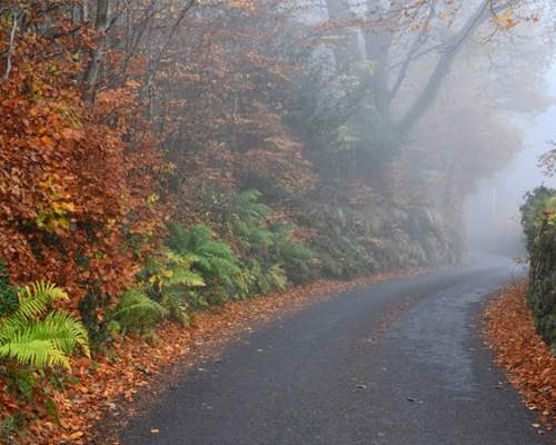 image shows a road through Dartmoor