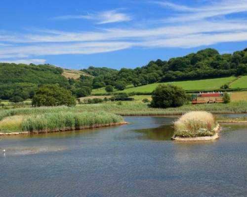 seaton wetlands