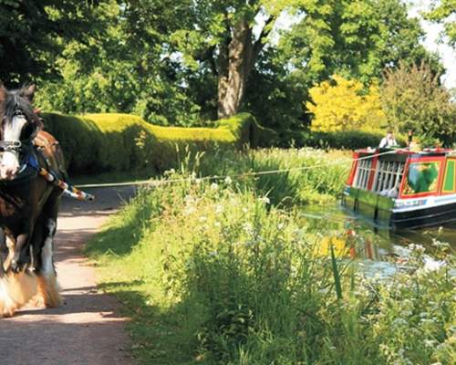 Things to do in Mid Devon this spring