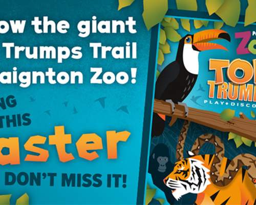 poster for top trumps trail at paignton zoo