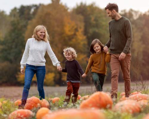 A family strolling through a field of pumpkins