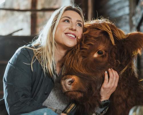 A lady cuddling a highland calf at Dumble Farm in East Yorkshire