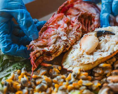 A platter of fresh shellfish from Bridlington