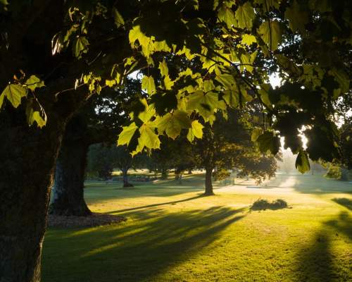 Listowel.ie Pitch and Putt Club