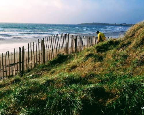 VISIT Hero Blue Skies Green Spaces Blog Maharees Conservation Project