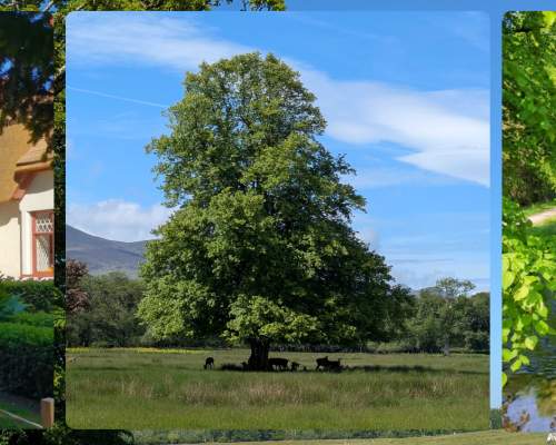 Visit Hero Blog Killarney National Park Cycle Family Friendly