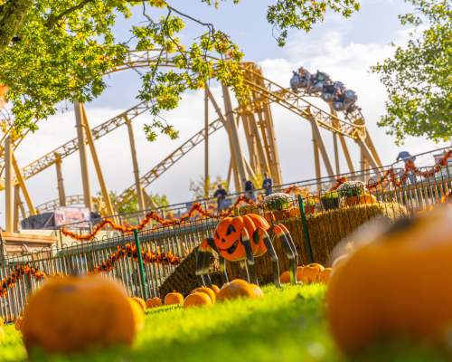 Paultons Park at Halloween