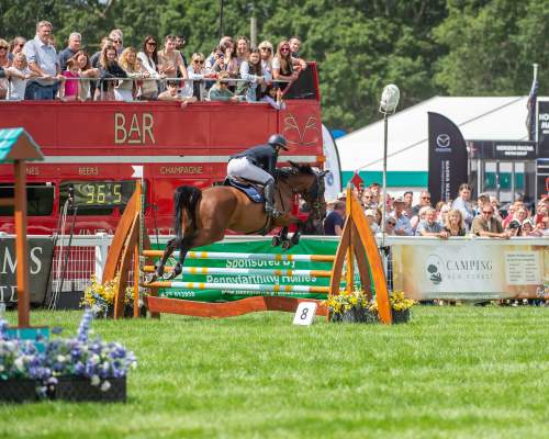 New Forest Show showground