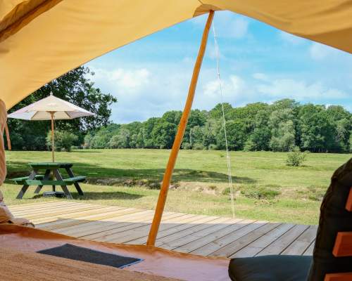Camping New Forest - View from Glamping tent in the Summer
