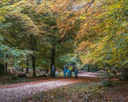 oct half term breaks blog - 2022
