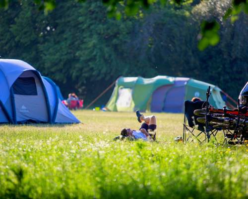 Relaxed camper at Harry's Meadow