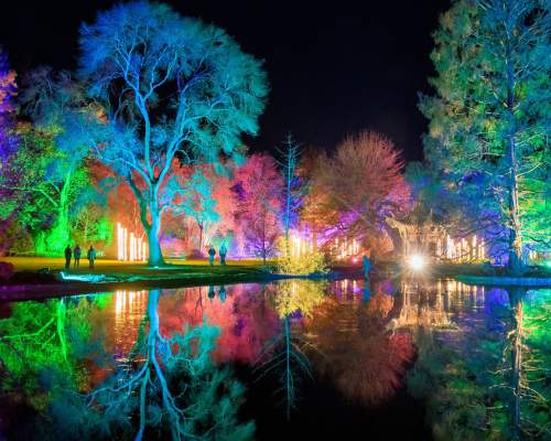 RHS Wisley - Glow
