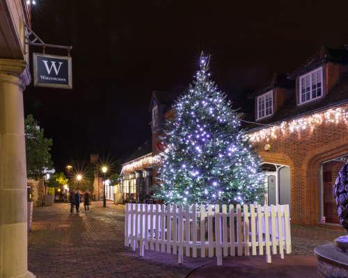 Farnham Christmas Tree
