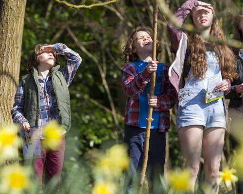 Family Fun at the National Trust Winkworth Arboretum in Spring