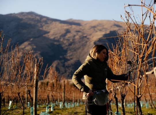 Meet Anika, a Gibbston Winemaker with a Passion for Regenerating Queenstown’s Environment