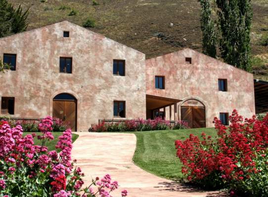 Exploring Gibbston's Wineries and Cellar Doors