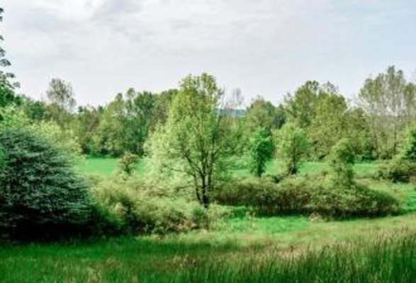 Historical Wayne County: Sterling, Ohio