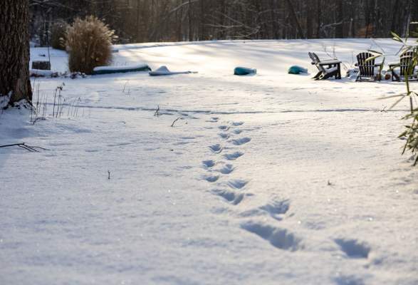 Exploring Wayne in the Wintertime