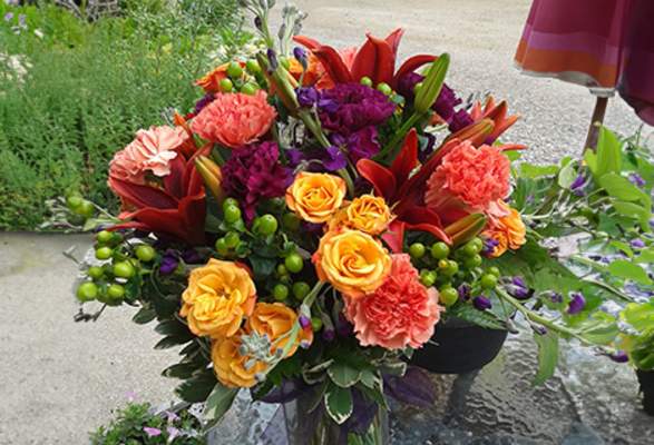 Greenhouses in Ohio Amish Country