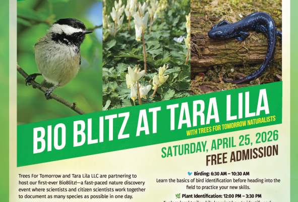 BIO BLITZ AT TARA LILA with Trees For Tomorrow Naturalists
